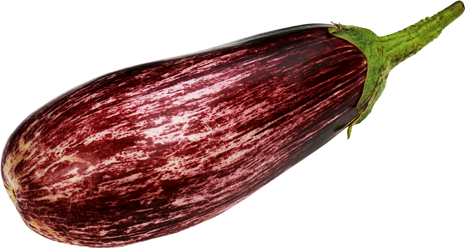 Eggplant Brinjal PNG File