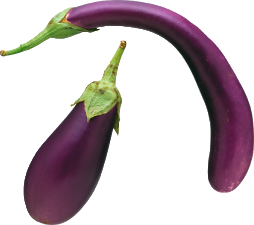 Eggplant Brinjal PNG Photo