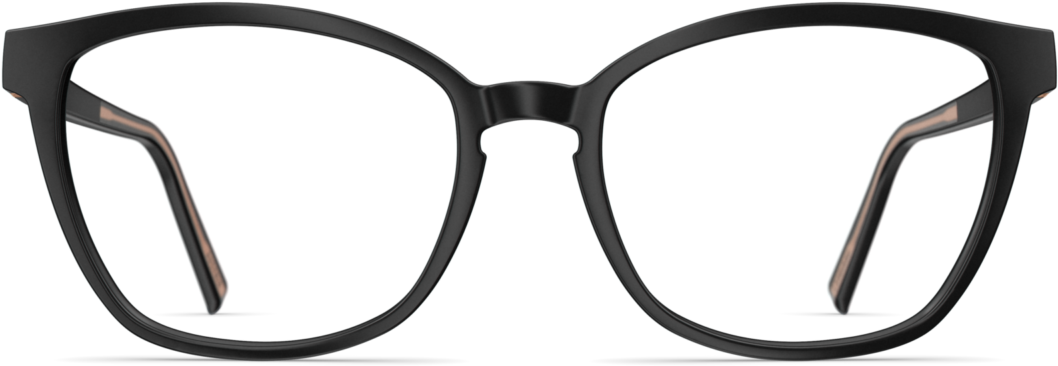 Eyeglass PNG Image