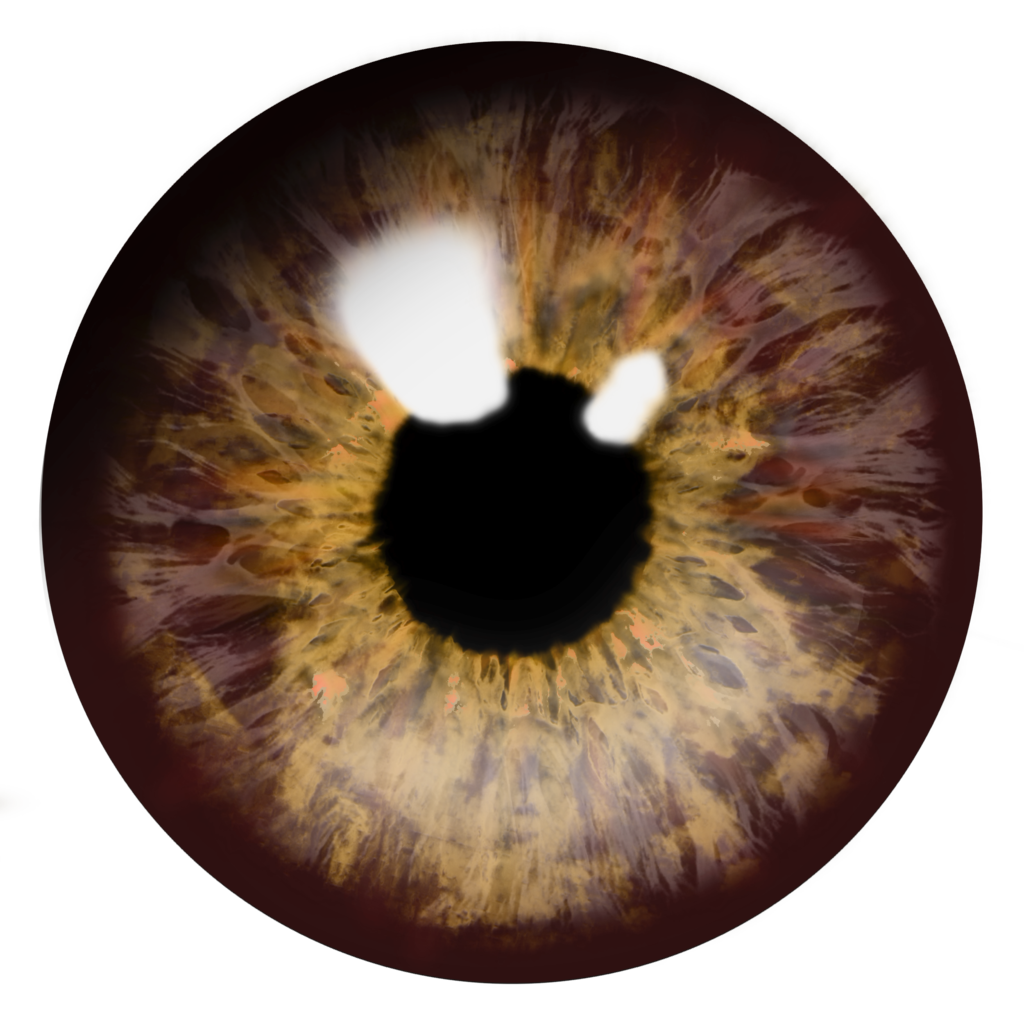 Eyes PNG Transparent Picture