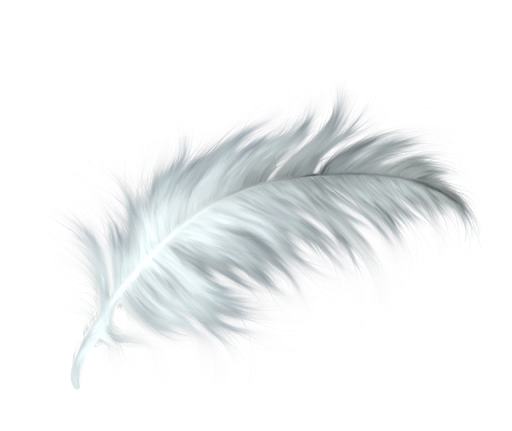 Feather Background PNG