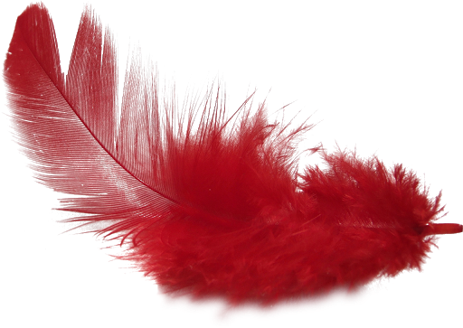 Feather PNG Background Image