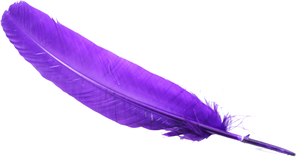 Feather PNG Arquivo