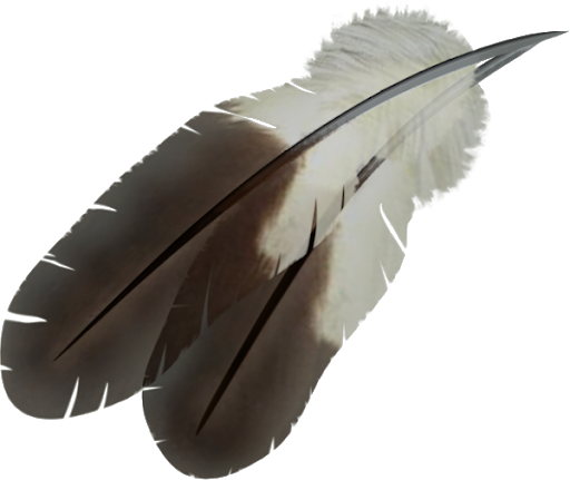 Feather PNG Transparent HD Photo