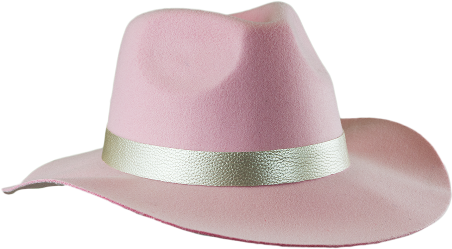Женская розовая шляпа PNG файл