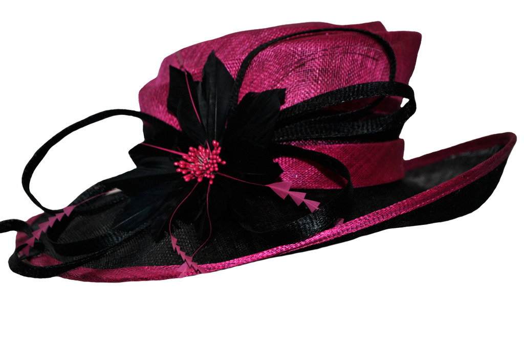 Chapeau rose femelle PNG Transparent Image
