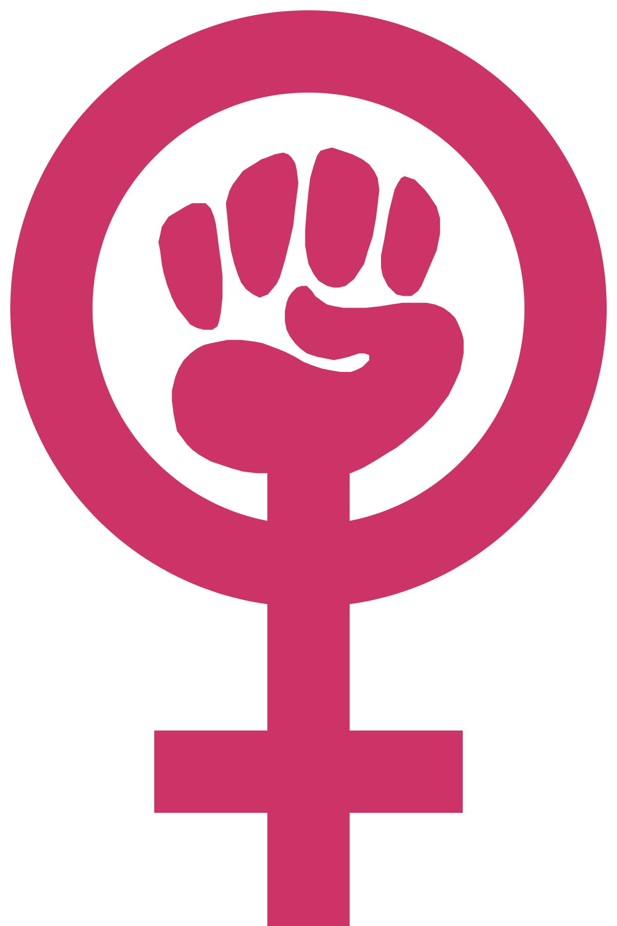 Feminism PNG File
