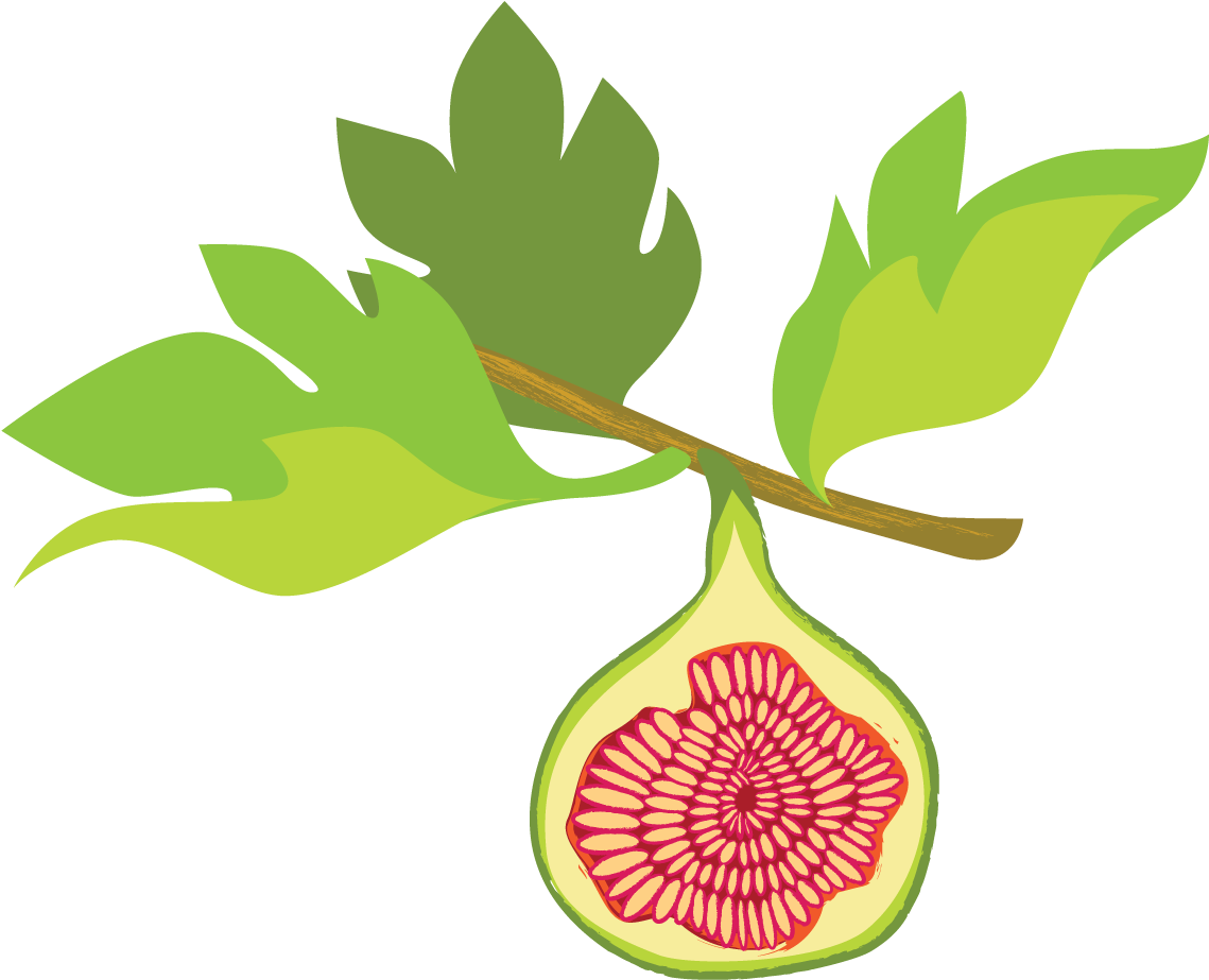 Umalis ang Fig Transparent PNG