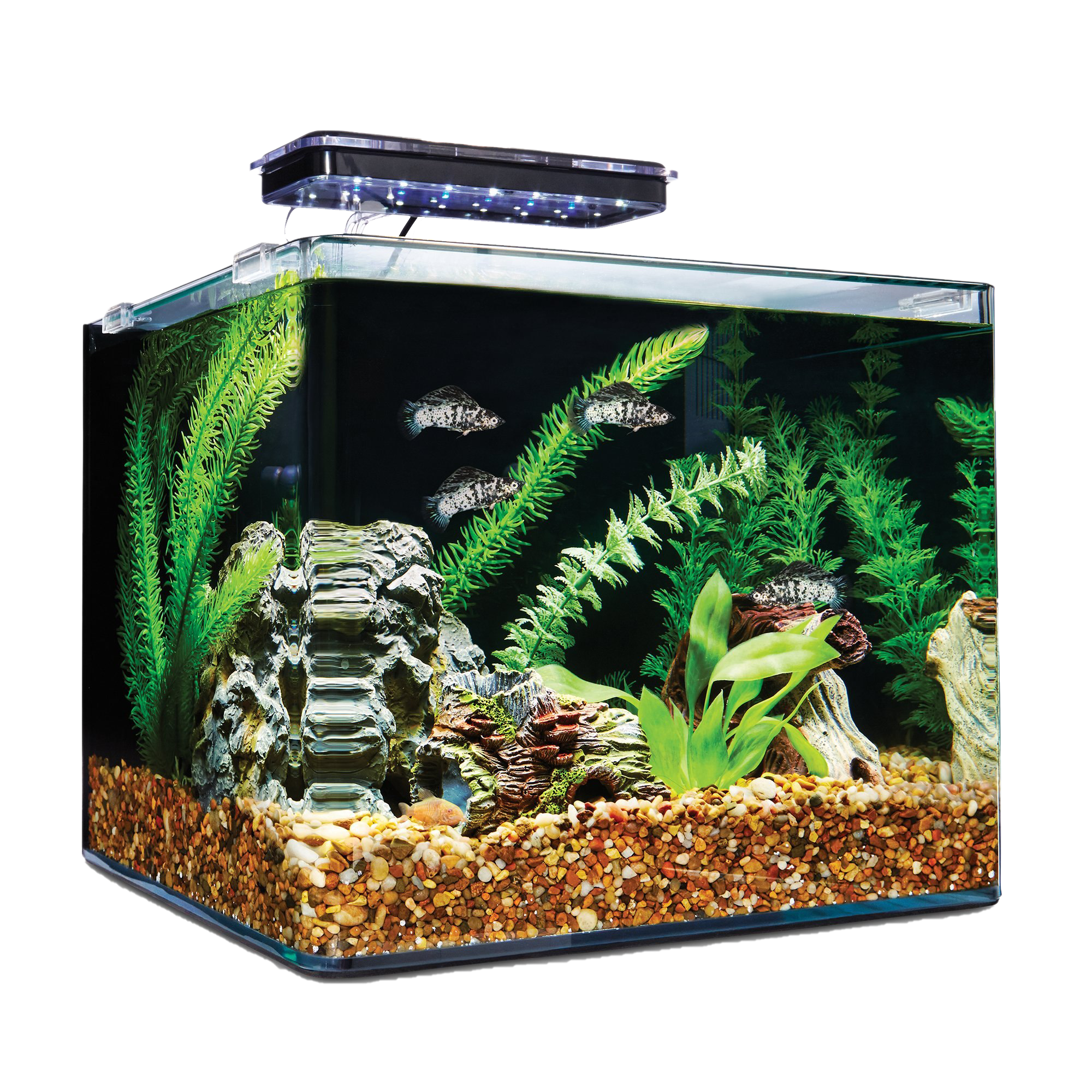 Fish Tank Aquarium Light Transparent PNG