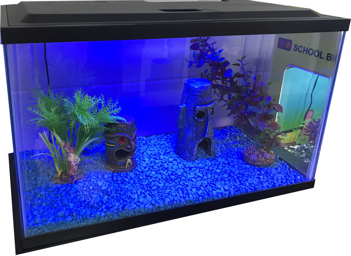 Balık Tankı Mavi Işık Şeffaf PNG