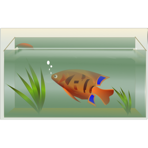 Tangki ikan Clipart Transparan PNG
