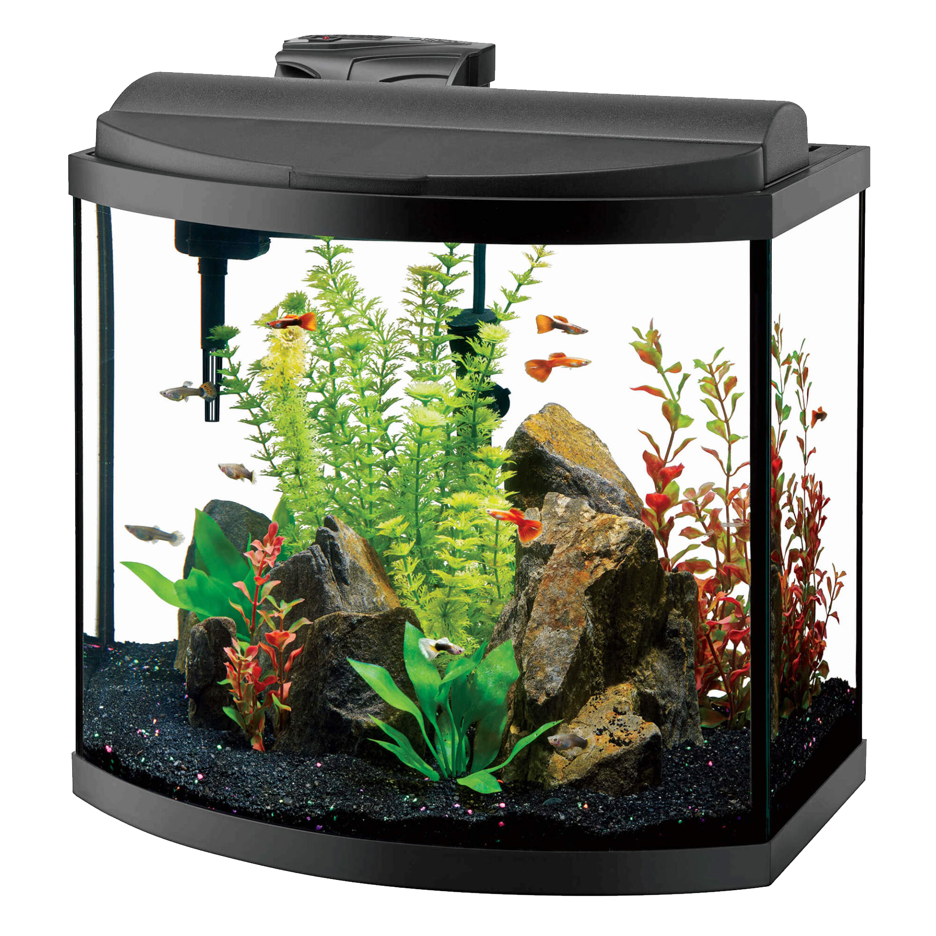 Fish Tank Glass Transparent PNG