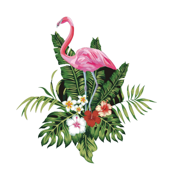 Flamingo Bird Vector Flower Transparent PNG