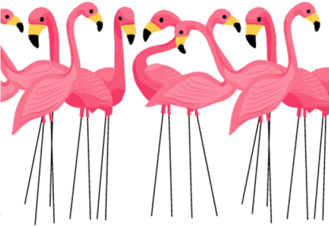 Flamingo Bird Vector Love Transparent PNG