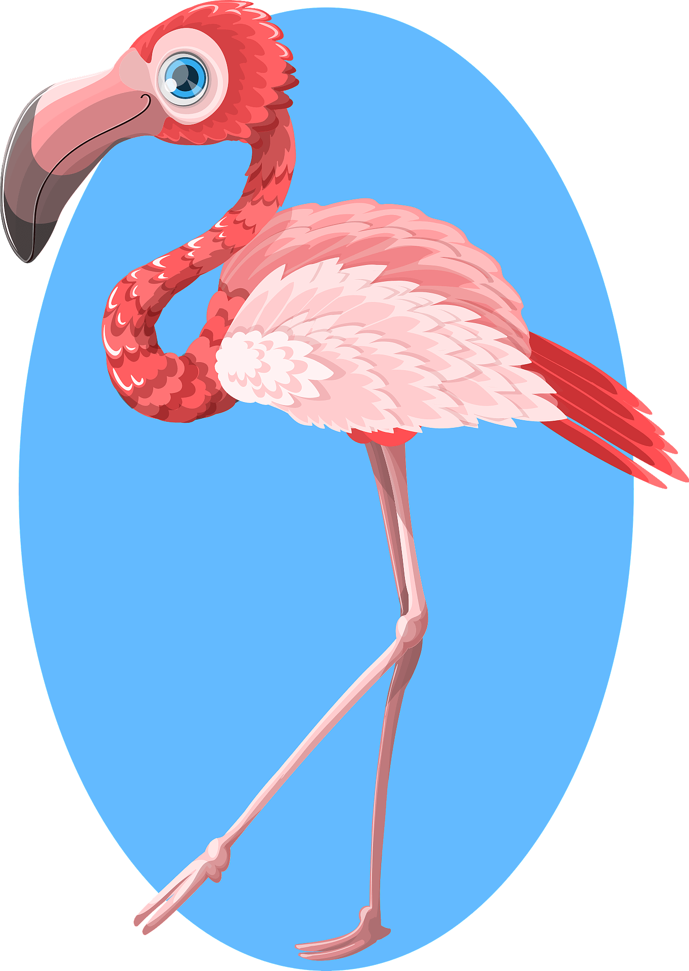 Flamingo Bird Vector Pink Clipart Transparent PNG