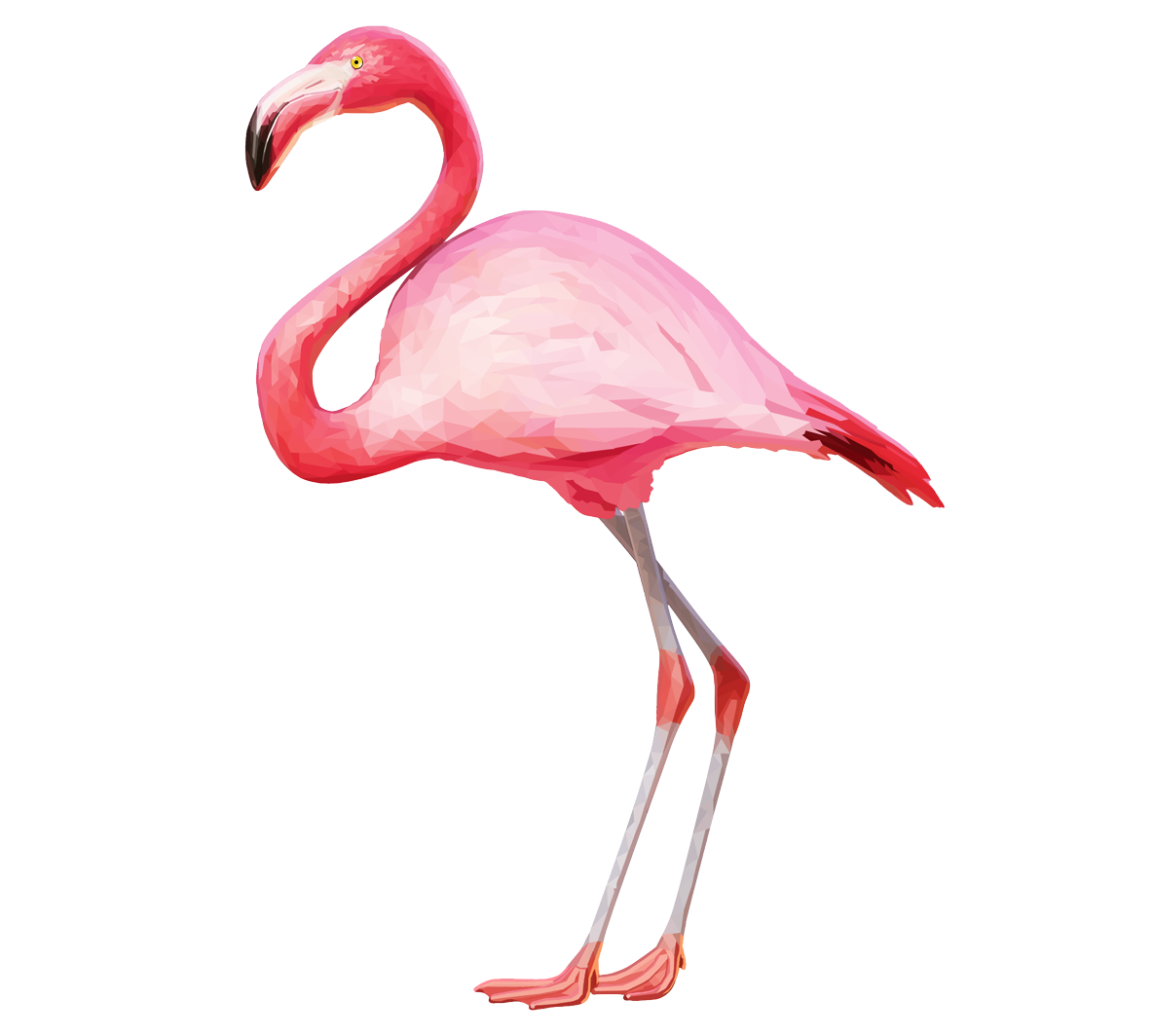 Flamingo Bird Vector Transparent PNG