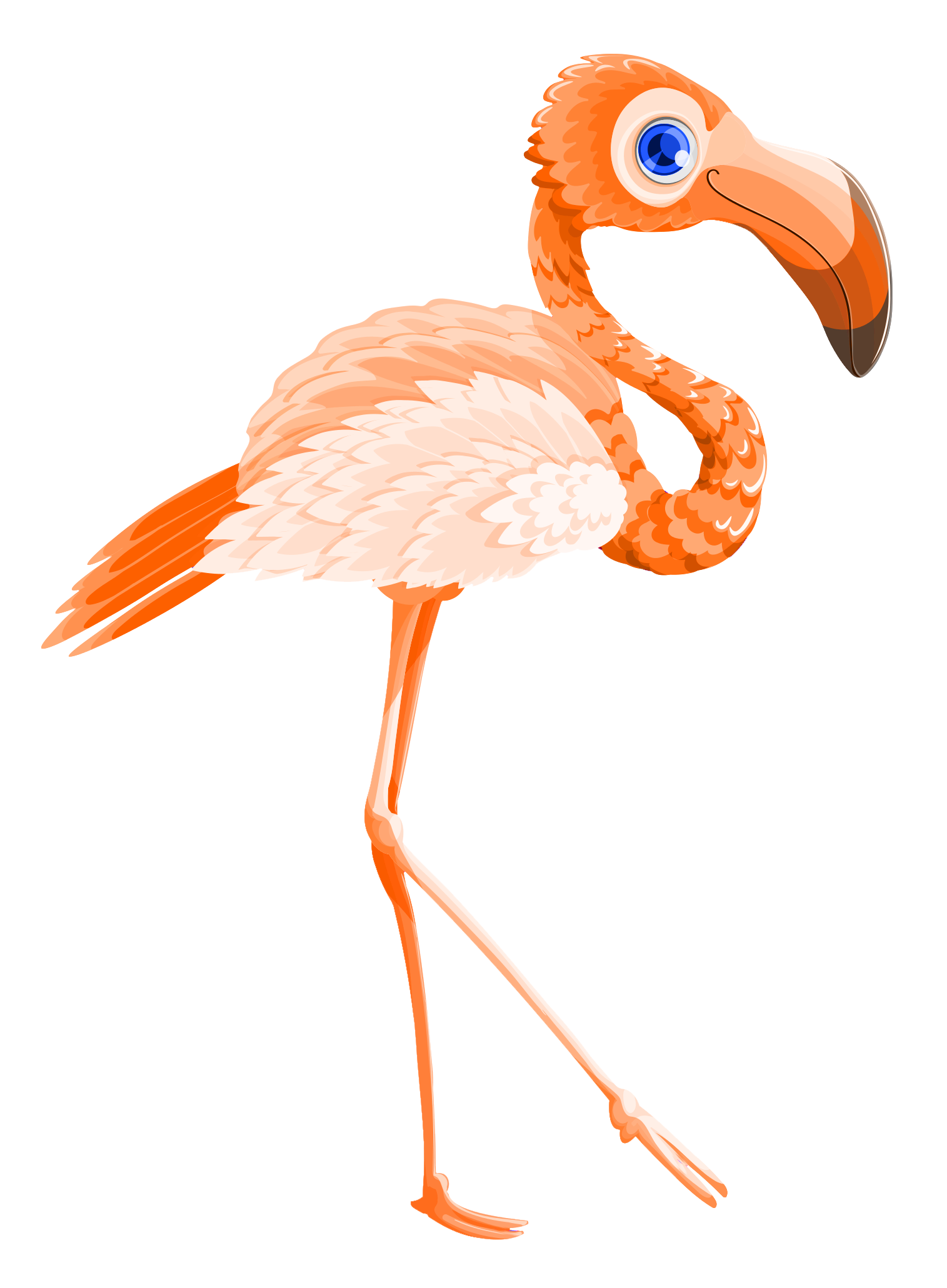 Flamingo Bird Vector Walking Transparent PNG