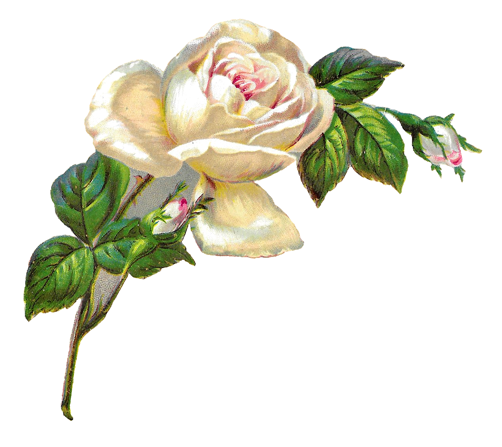 Flower Artwork PNG Picture