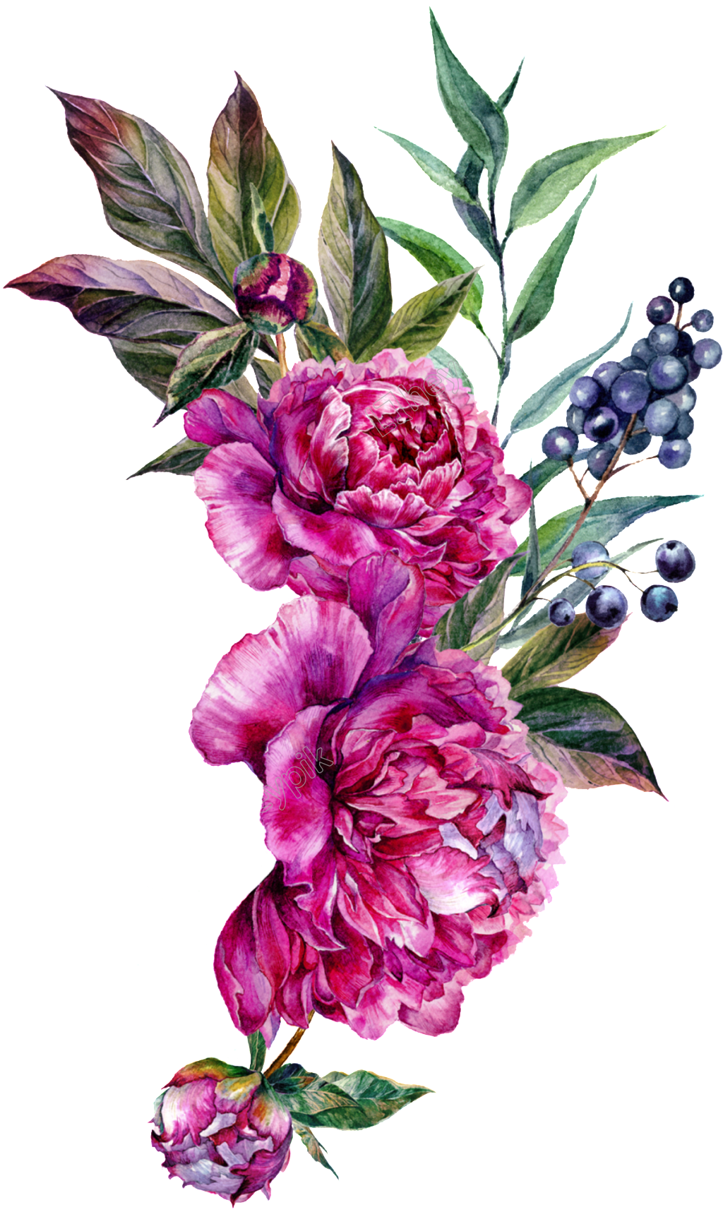 Flower Artwork PNG Transparent Picture