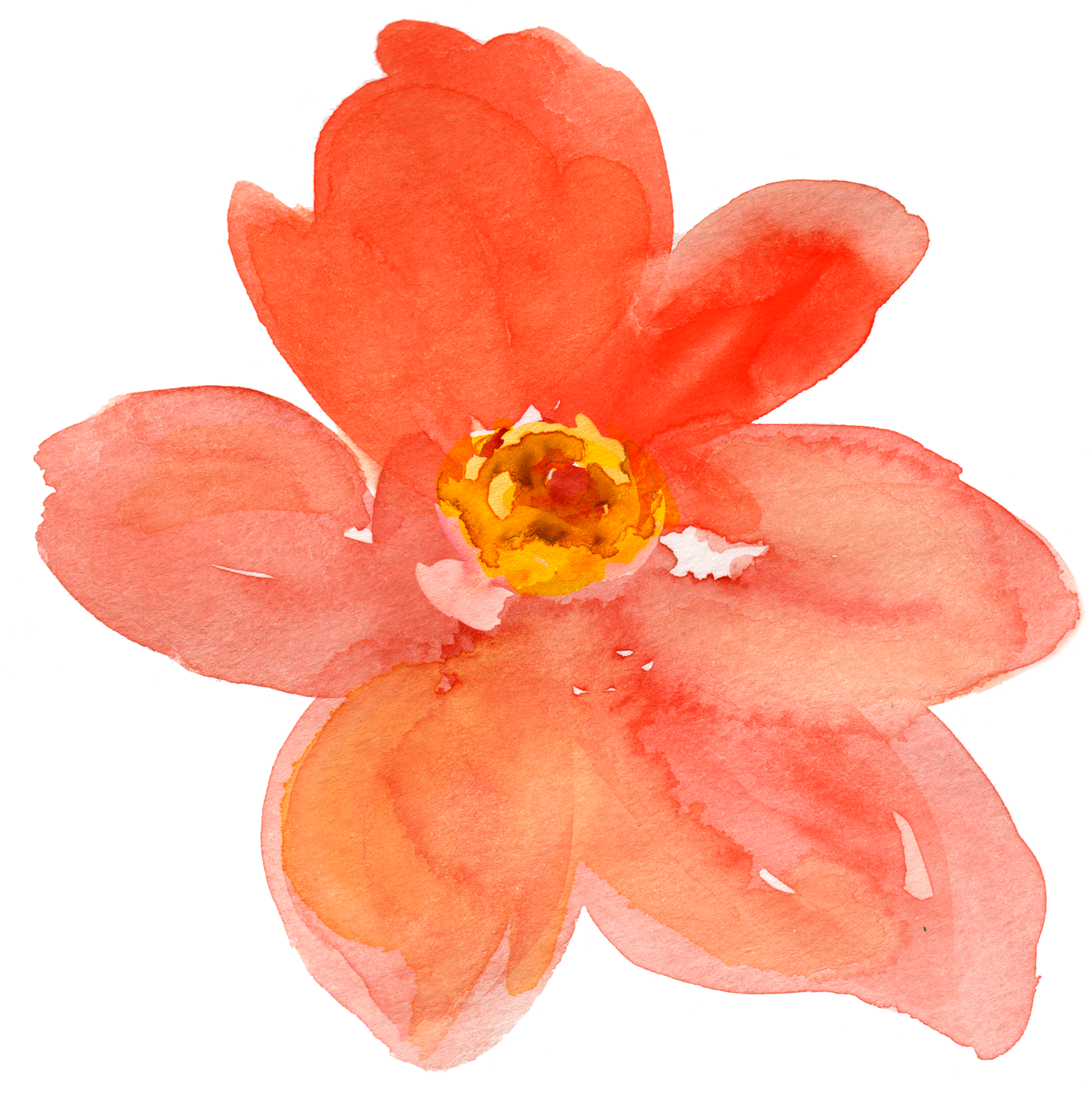 Flower Artwork PNG Transparent