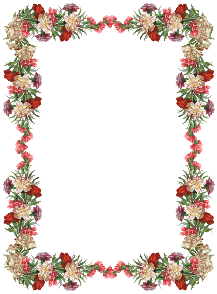 Çiçek sınır çerçevesi Renkli şeffaf PNG