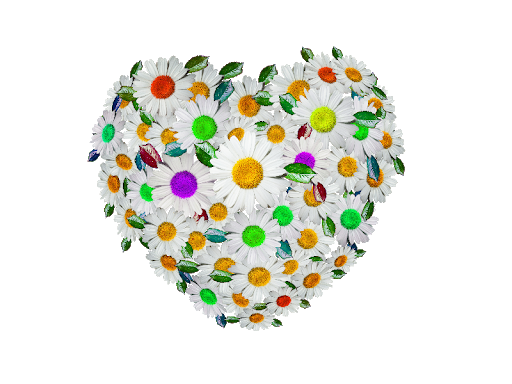 Цветочное сердце PNG прозрачное изображение