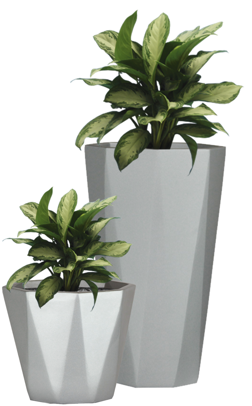 Plantas de vaso de flores transparentes PNG