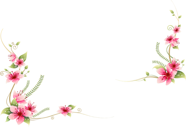 Marco de vector de flor PNG
