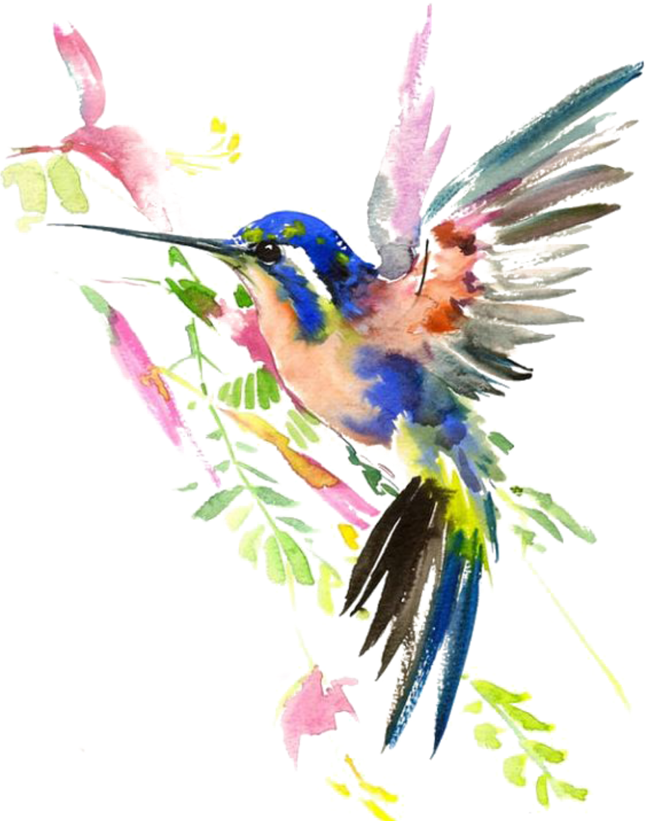 Arquivo de PNG de Hummingbird de Aquarela de Flor