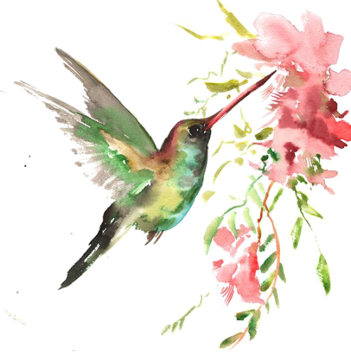 Flower Watercolor Hummingbird PNG Transparent Image