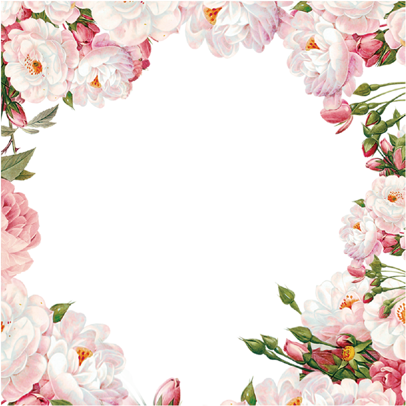 Flowers Border Clipart Frame PNG