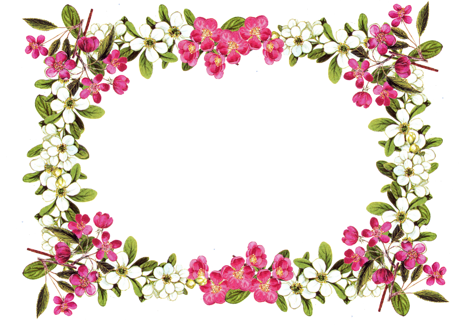 Flowers Border Wedding Frame PNG