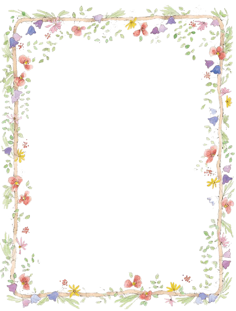 Flowers Frame Vector PNG