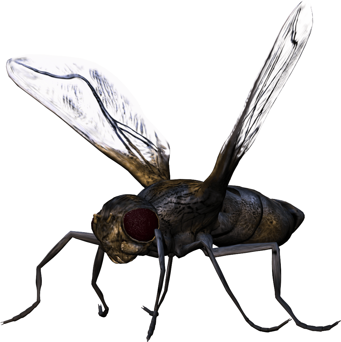 Flying Bugs PNG File