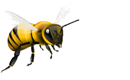 Летающая медовая пчела прозрачный фон