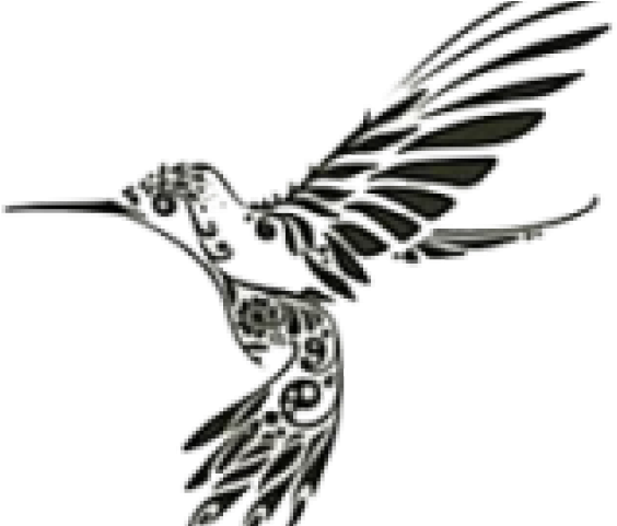 Sfondo Trasparente di colibrì della siluetta volante