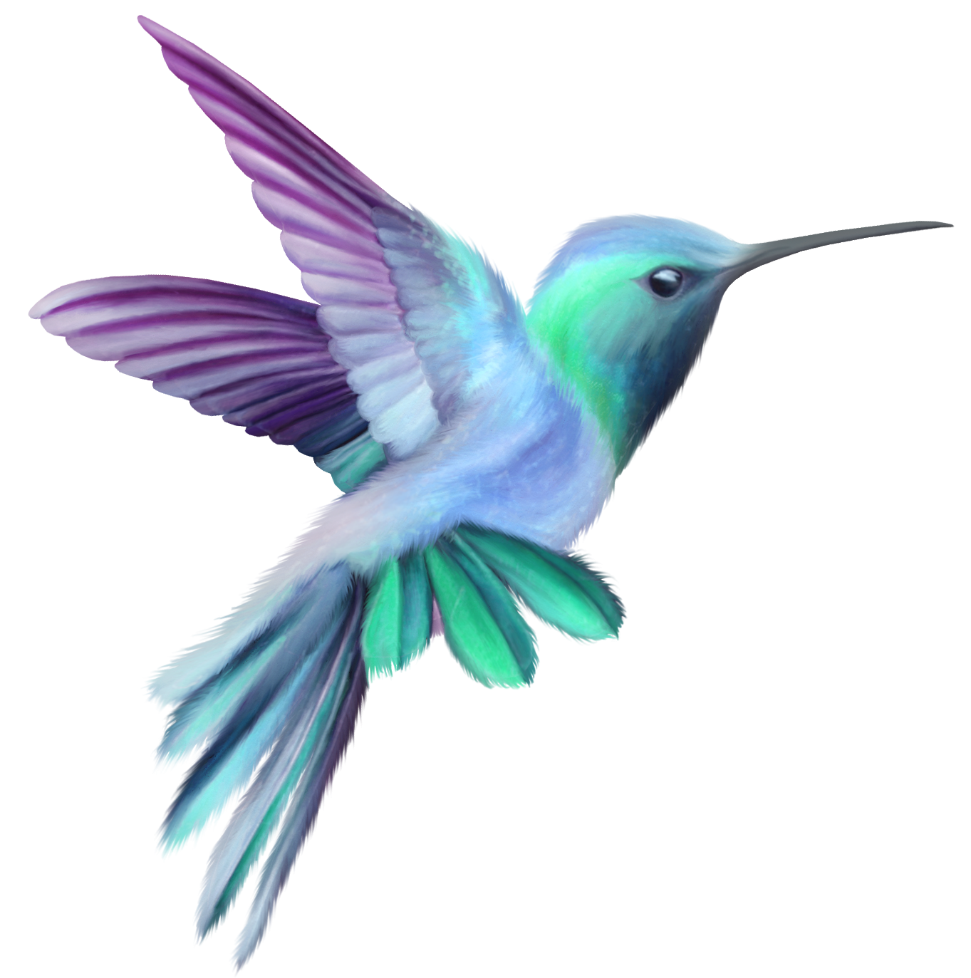 Immagine Trasparente di colibrì ad acquerello volante