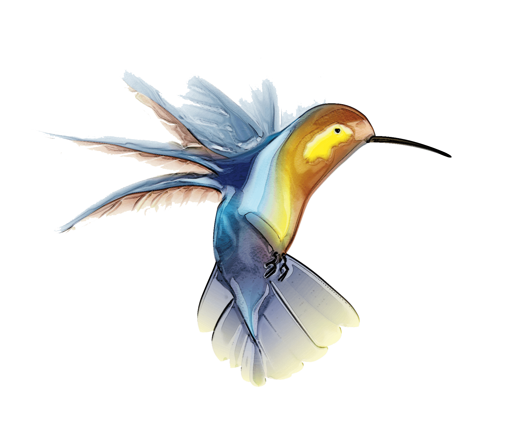Летающая акварель колибри прозрачный PNG