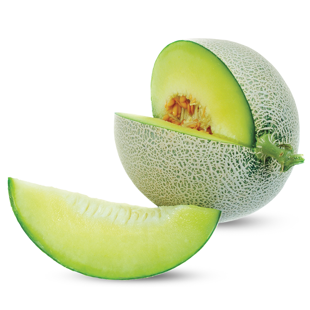 Cantaloupe PNG clipart