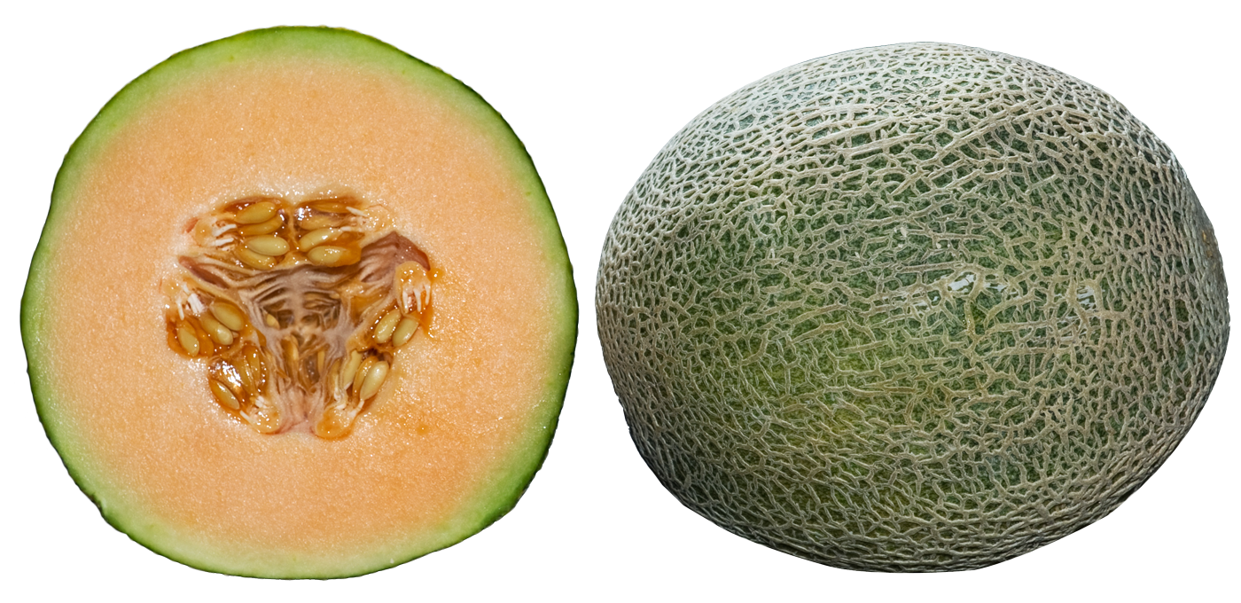 Fresh Cantaloupe PNG Transparentes Bild