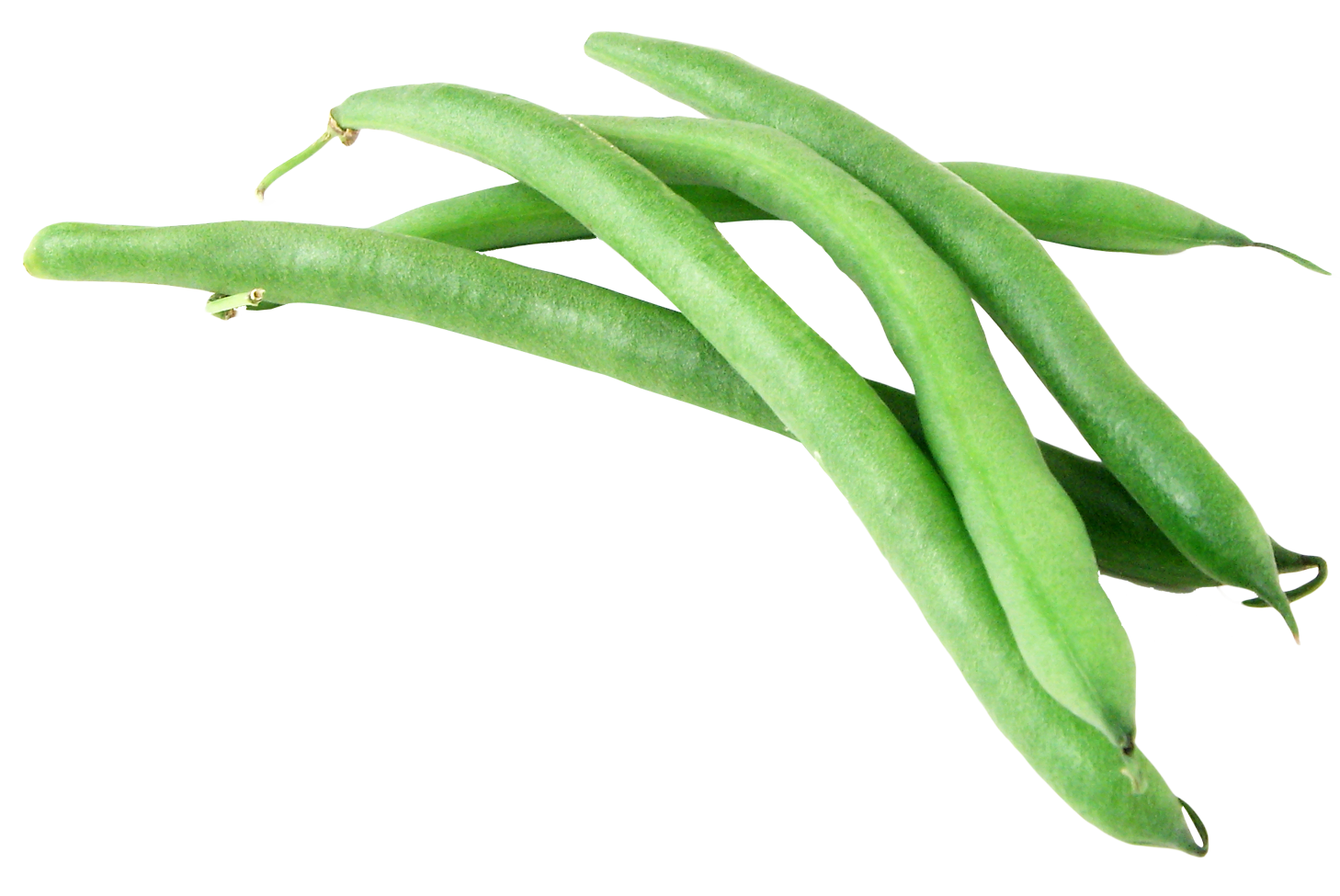 Fresh Green Beans Transparent PNG