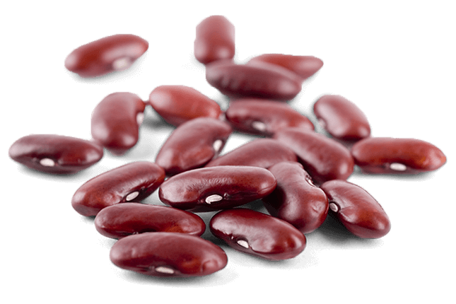 Fresh Kidney Beans PNG