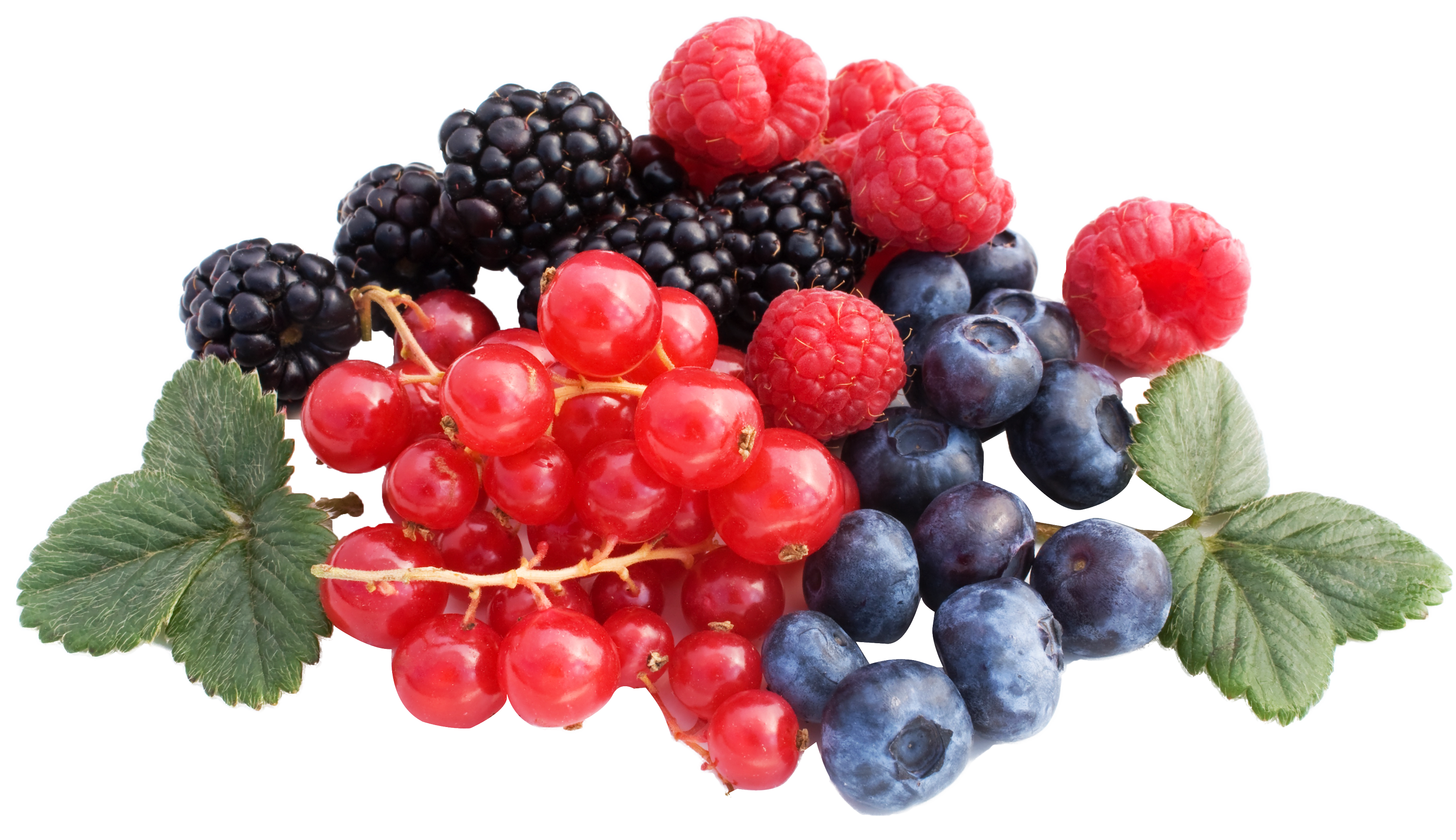 Fresh Organic Berry Mix Transparent PNG