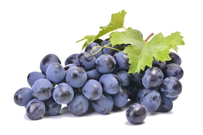 Fruit zwarte druiven Transparant PNG