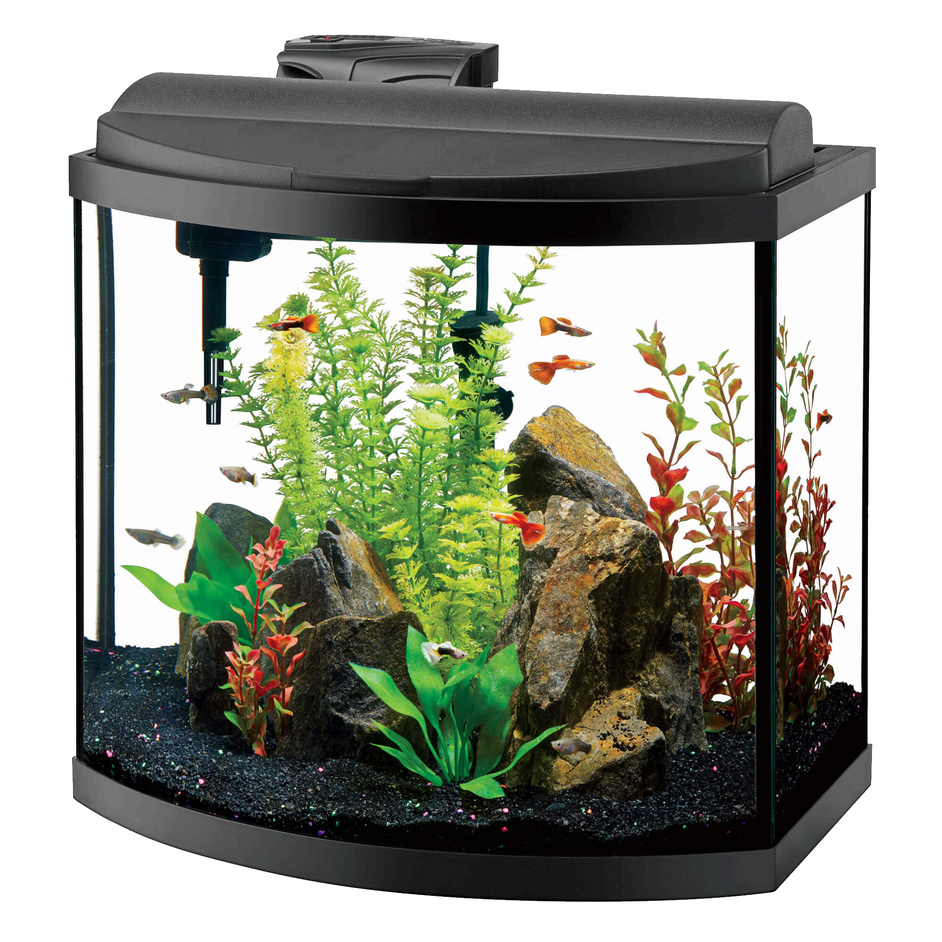 Glass Aquarium Fish Tank PNG Clipart