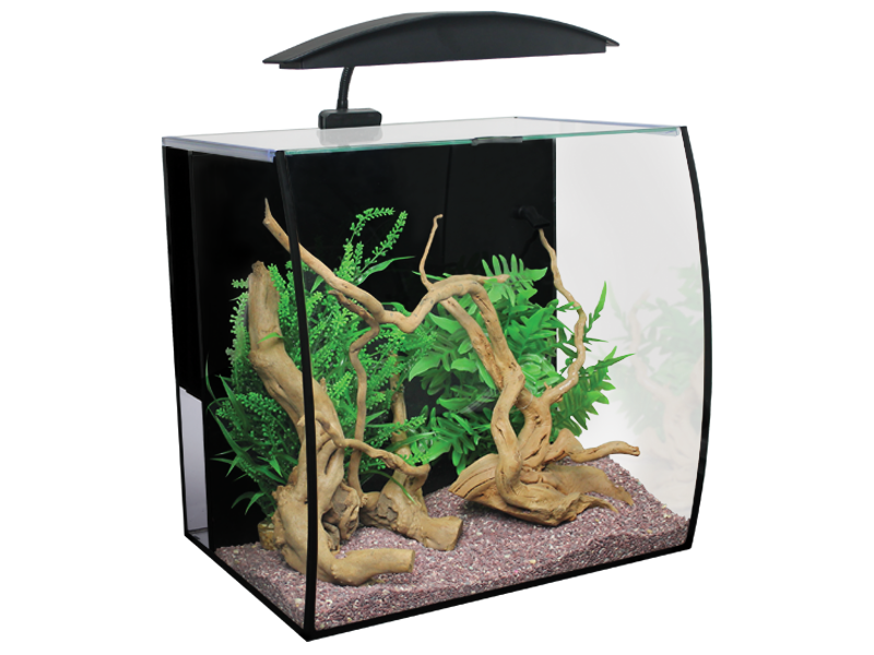 Glass Aquarium Fish Tank PNG Free Download
