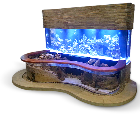Glass Aquarium Fish Tank PNG Picture