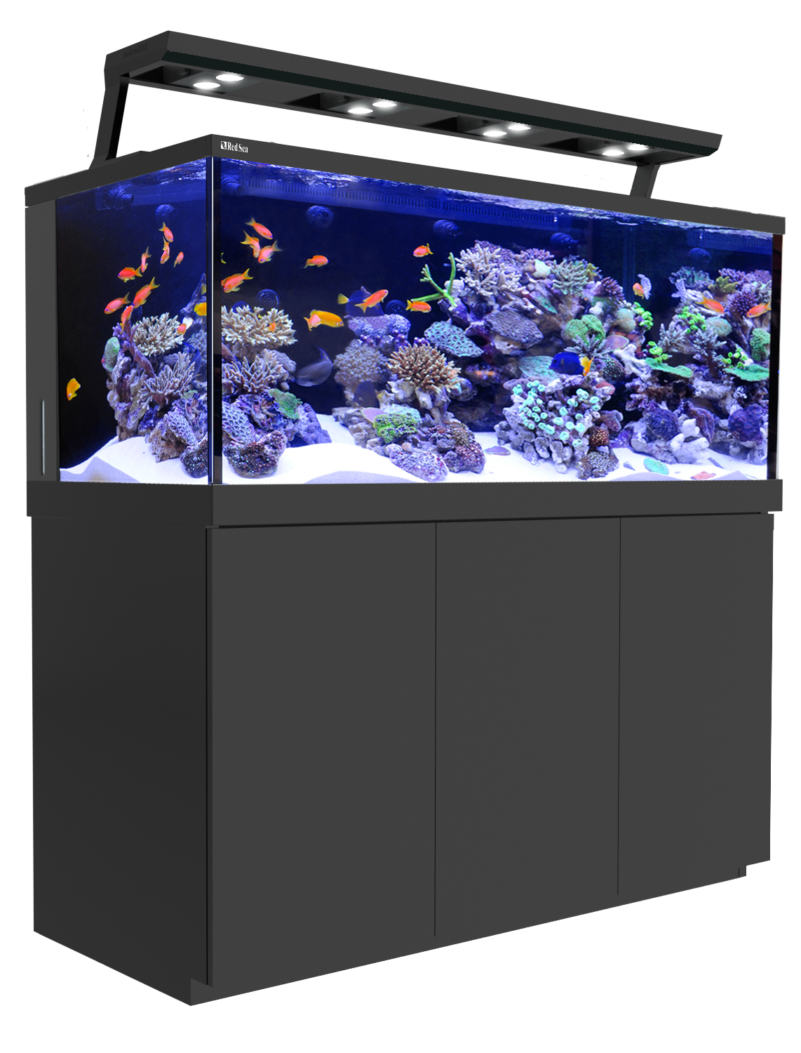 Kaca Tangki ikan akuarium PNG Gambar Transparan