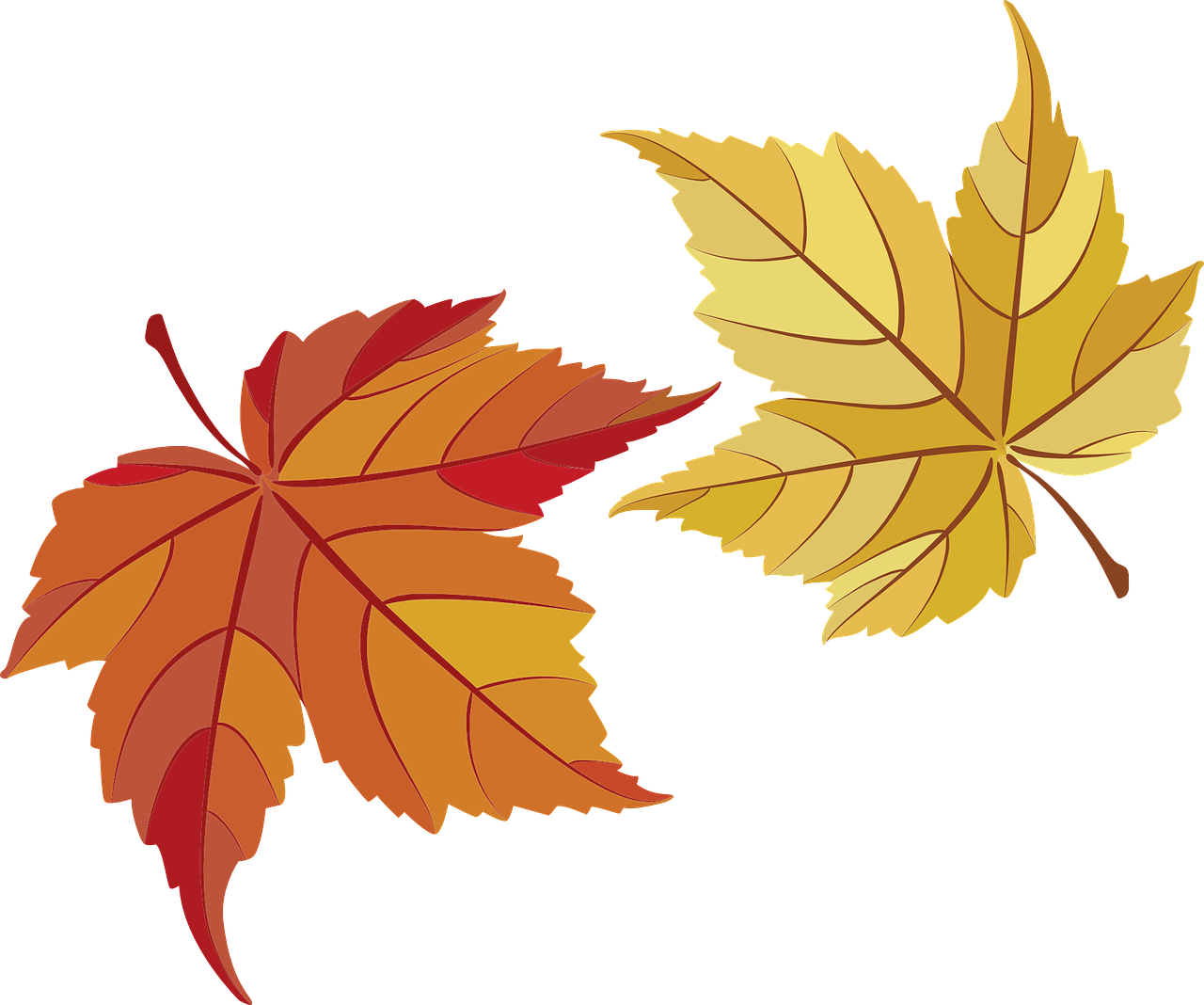 Golden Autumn Leaf PNG File