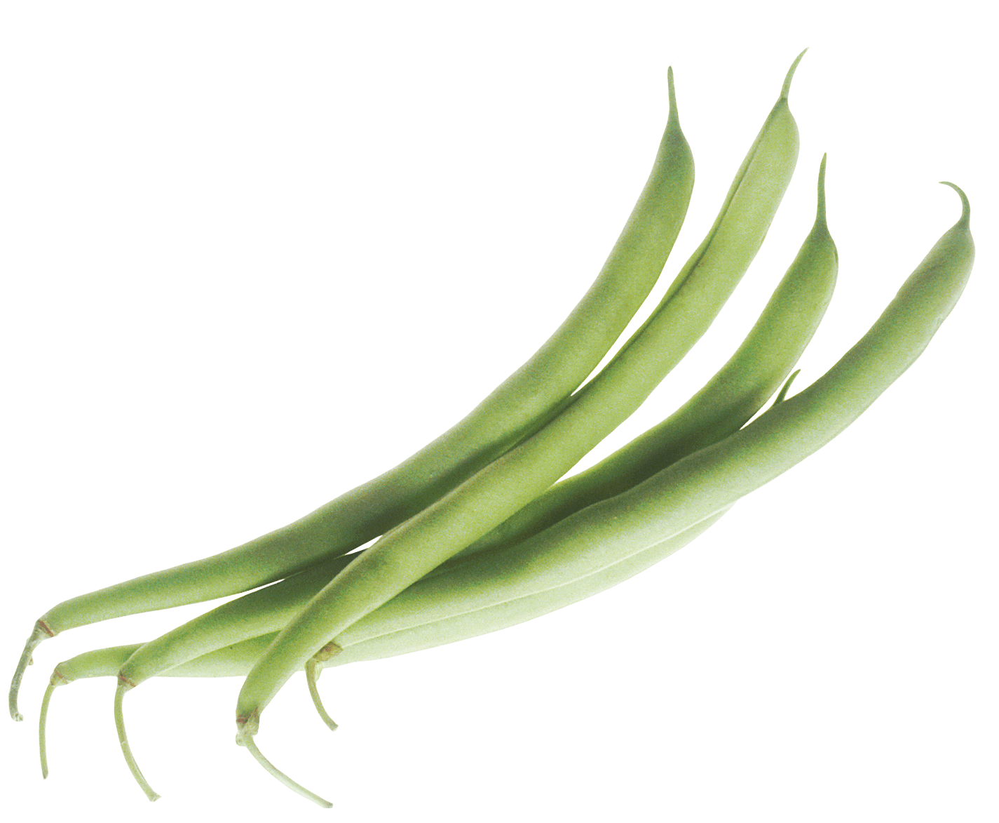 Yeşil fasulye sebze şeffaf PNG